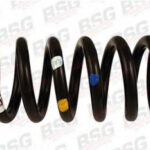 BSG30305001 BSG винтовая пружина