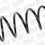 BSG30305007 BSG винтовая пружина