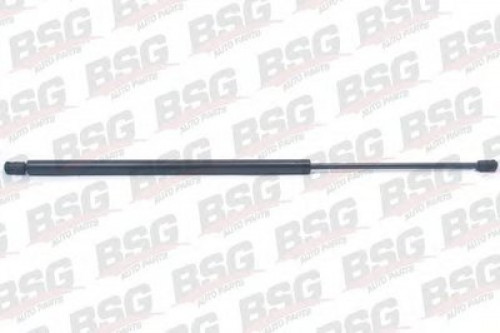 BSG70980020 BSG газовая пружина