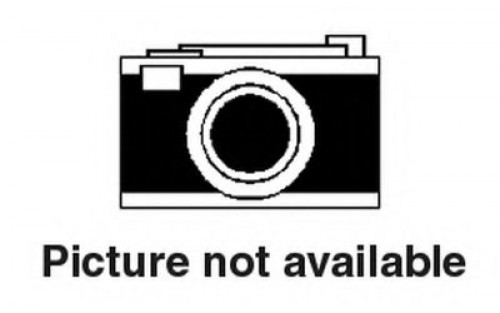 1318250300 JP GROUP натягувач ременя sprinter/vito om601-602