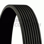 8PK1230 CONTITECH v-ribbed belts