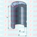 D025384 AUTOFREN SEINSA поршень