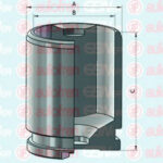 D025536 AUTOFREN SEINSA поршень