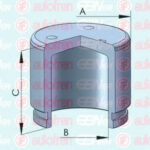 D025538 AUTOFREN SEINSA поршень