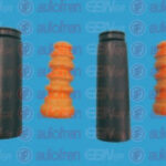 D5001 AUTOFREN SEINSA пылезащитный комплект