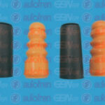 D5002 AUTOFREN SEINSA пылезащитный комплект