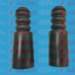 D5005 AUTOFREN SEINSA пылезащитный комплект