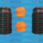 D5007 AUTOFREN SEINSA пылезащитный комплект