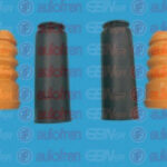 D5012 AUTOFREN SEINSA пылезащитный комплект