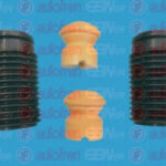 D5013 AUTOFREN SEINSA пылезащитный комплект