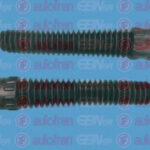 D5035 AUTOFREN SEINSA пылезащитный комплект