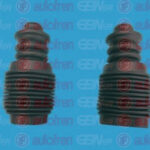 D5039 AUTOFREN SEINSA пылезащитный комплект