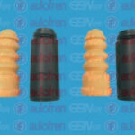 D5041 AUTOFREN SEINSA пылезащитный комплект