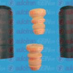 D5042 AUTOFREN SEINSA пылезащитный комплект