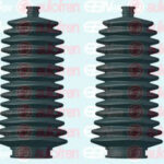 D9271C AUTOFREN SEINSA комплект пылника