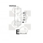 V029316 BGA впускной клапан