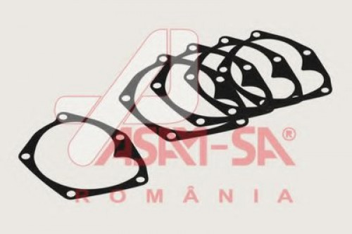 32221 ASAM прокладка