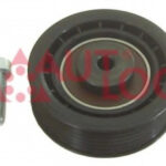 RT1219 AUTLOG натяжной ролик