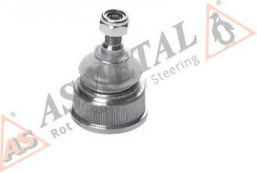 10BM0101 ASMETAL шаровой шарнир