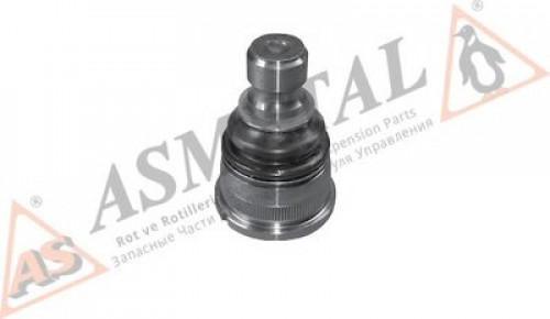 10RN1105 ASMETAL шаровой шарнир