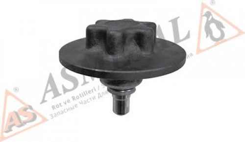 10RN1110 ASMETAL шаровой шарнир