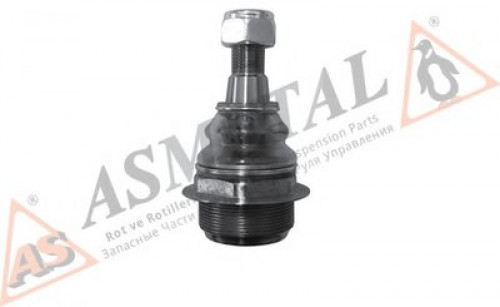 10RN1121 ASMETAL шаровой шарнир