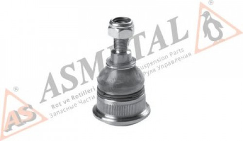 10RN5205 ASMETAL шаровой шарнир