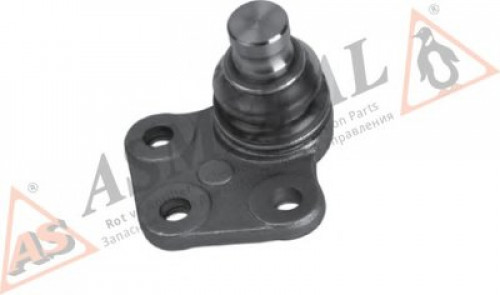 10RN5605 ASMETAL шаровой шарнир