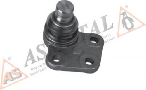 10RN5606 ASMETAL шаровой шарнир
