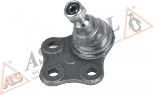 10RN5610 ASMETAL шаровой шарнир