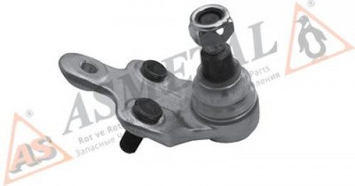 10TY1011 ASMETAL шаровой шарнир