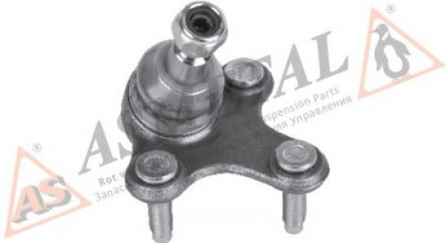 10VW1606 ASMETAL шаровой шарнир