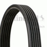 6DPK2215 CONTITECH v-ribbed belts